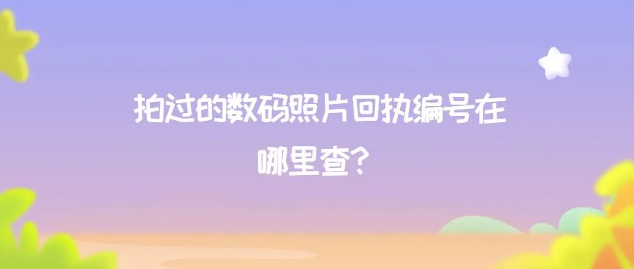 拍过的数码照片回执编号在哪里查？