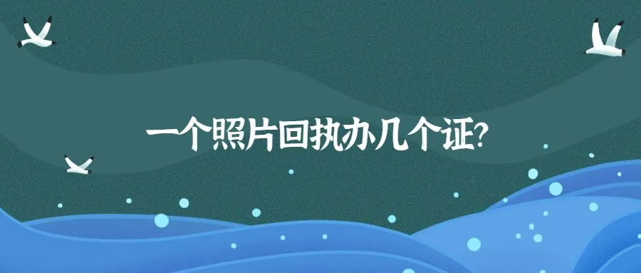 一个照片回执办几个证？