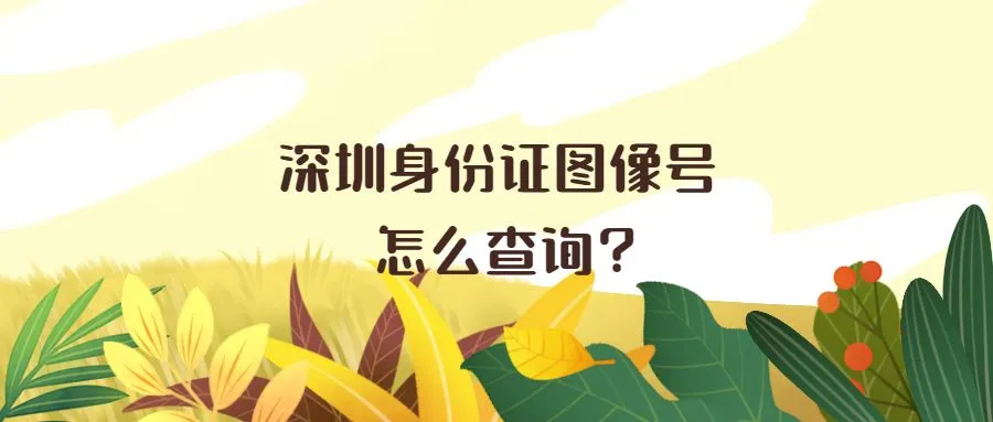 深圳身份证图像号怎么查询？