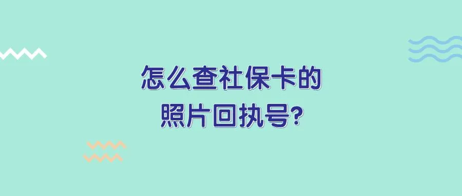 怎么查社保卡的照片回执号？