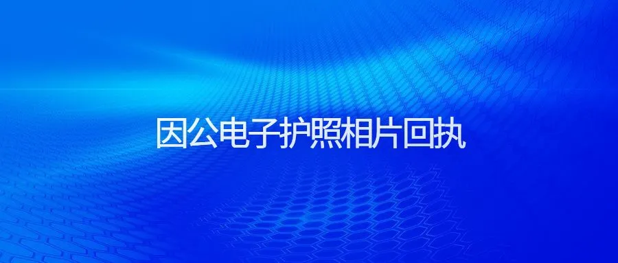 因公电子护照相片回执