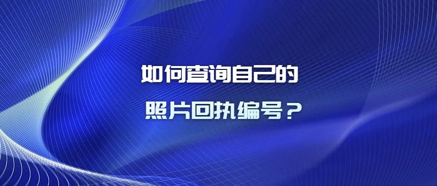 如何查询自己的照片回执编号？