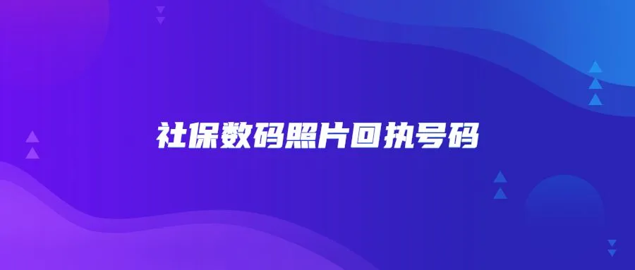 社保数码照片回执号码