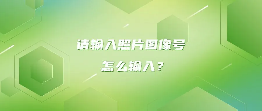 请输入照片图像号怎么输入？