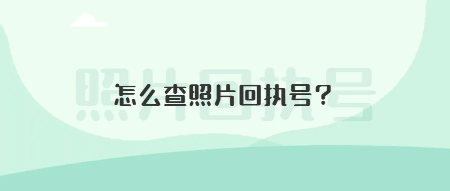 怎么查照片回执号？