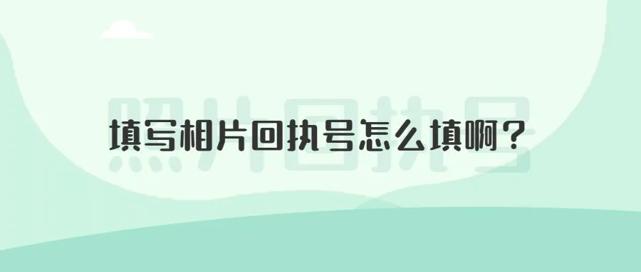 填写相片回执号怎么填啊？