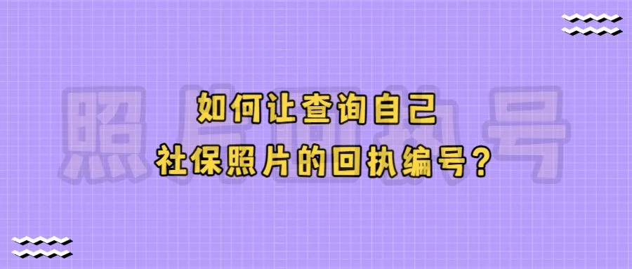 如何让查询自己社保照片的回执编号？