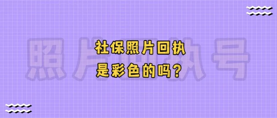 社保照片回执是彩色的吗？