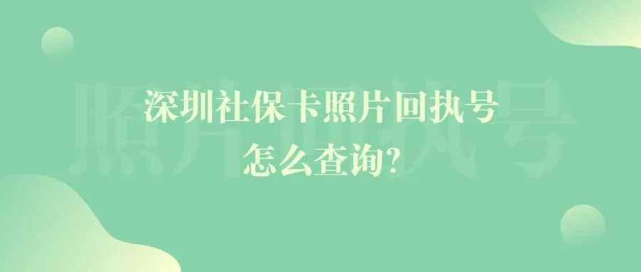 深圳社保卡照片回执号怎么查询？