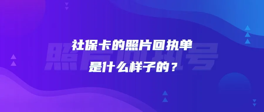 社保卡的照片回执单是什么样子的？