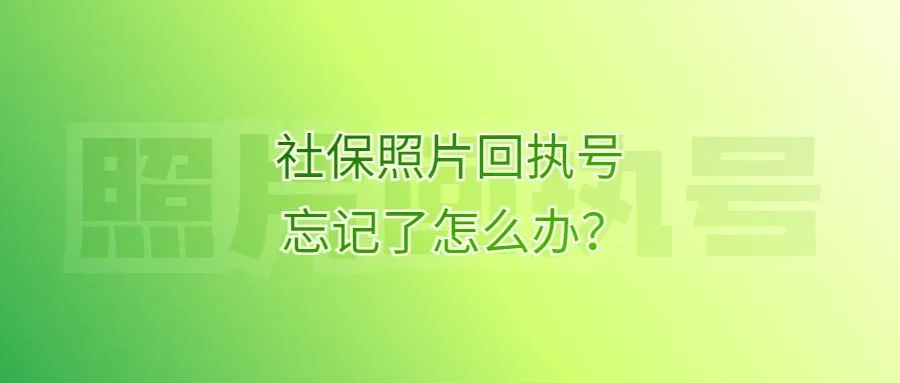 社保照片回执号忘记了怎么办？