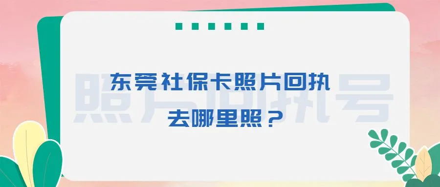 东莞社保卡照片回执去哪里照？