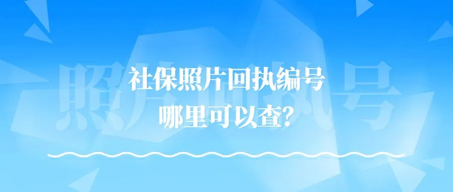 社保照片回执编号哪里可以查？