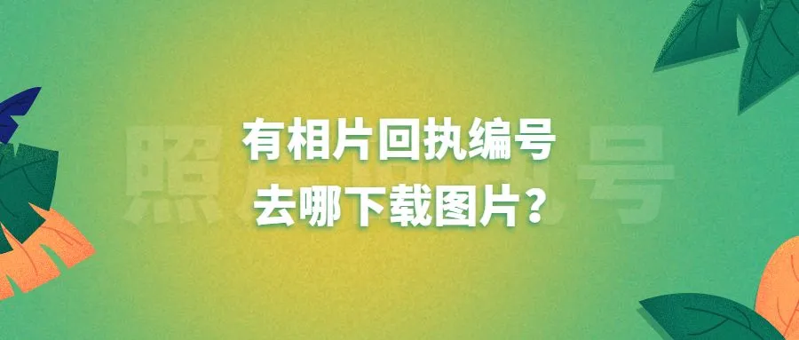 有相片回执编号去哪下载图片？