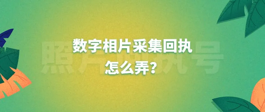 数字相片采集回执怎么弄？