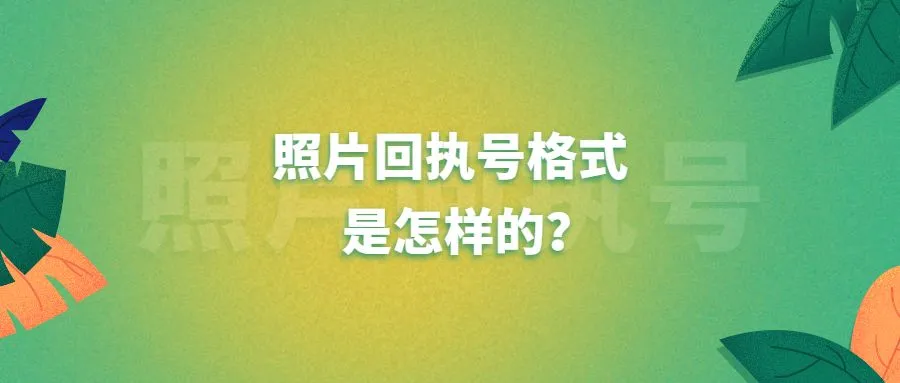 照片回执号格式是怎样的?