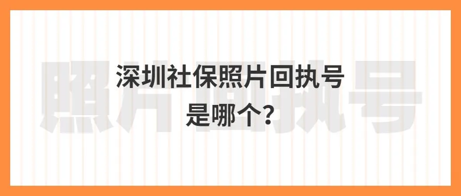 深圳社保照片回执号是哪个？