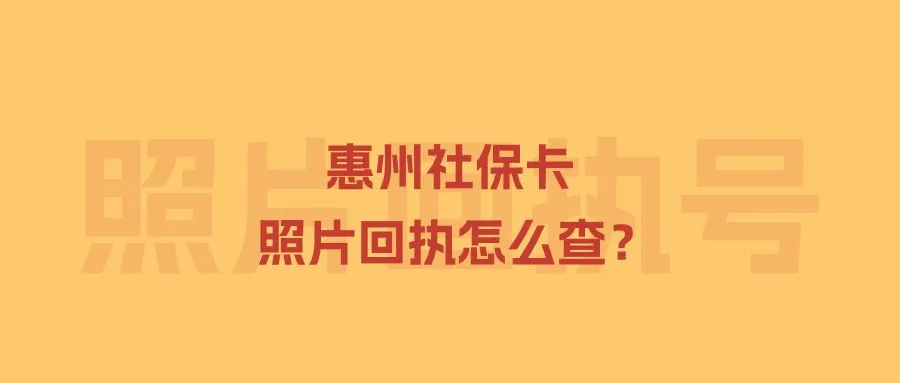 惠州社保卡照片回执怎么查？