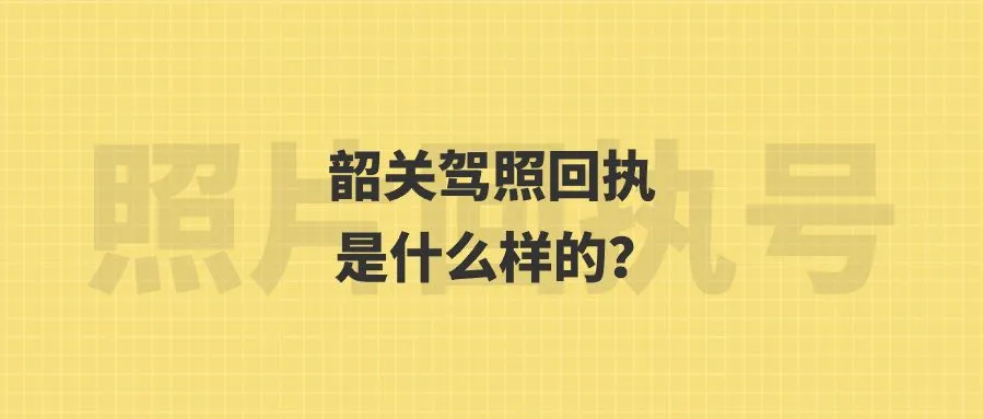 韶关驾照回执是什么样的？