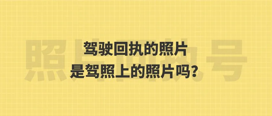 驾驶回执的照片是驾照上的照片吗？