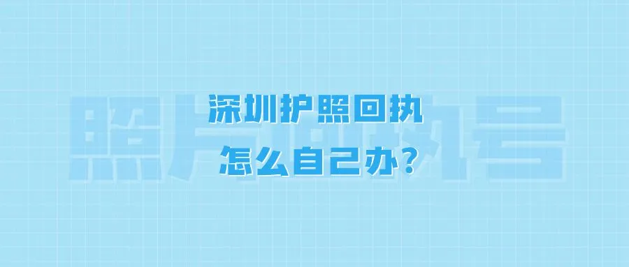 深圳护照回执怎么自己办？