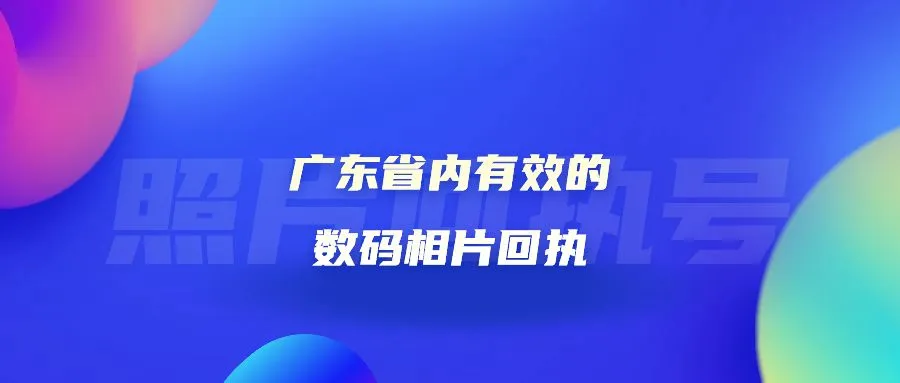 广东省内有效的数码相片回执