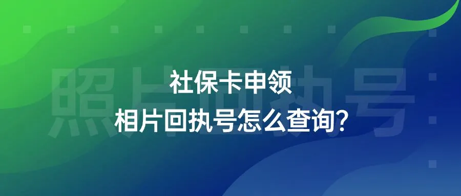 社保卡申领相片回执号怎么查询？