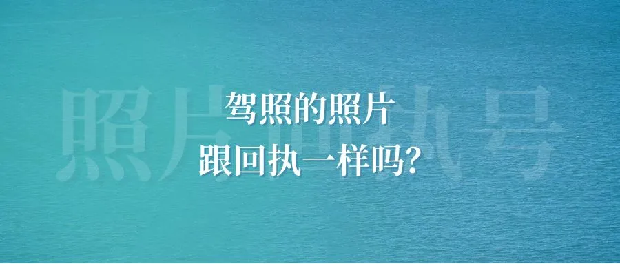 驾照的照片跟回执一样吗？