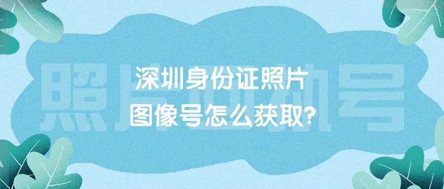 深圳身份证照片图像号怎么获取？