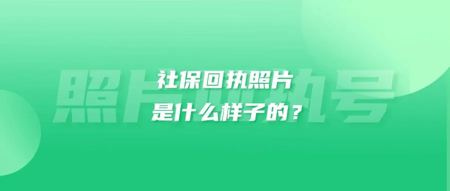 社保回执照片是什么样子的？