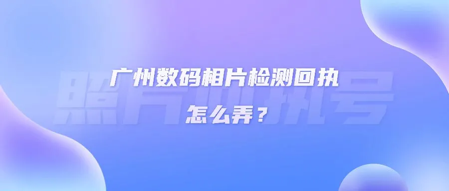 广州数码相片检测回执怎么弄？