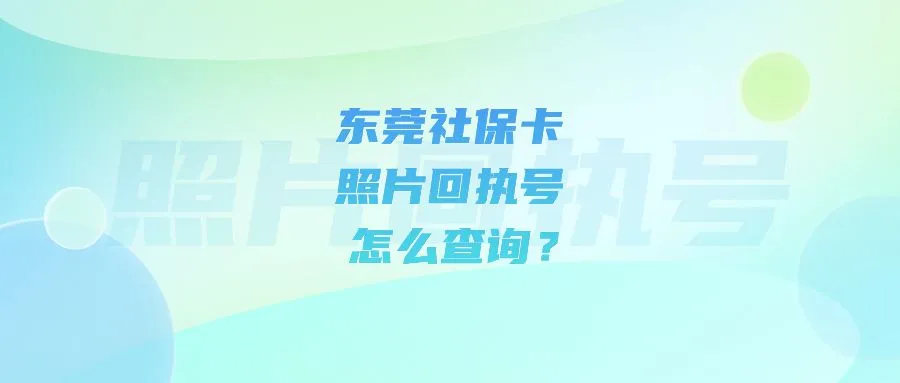 东莞社保卡照片回执号怎么查询？