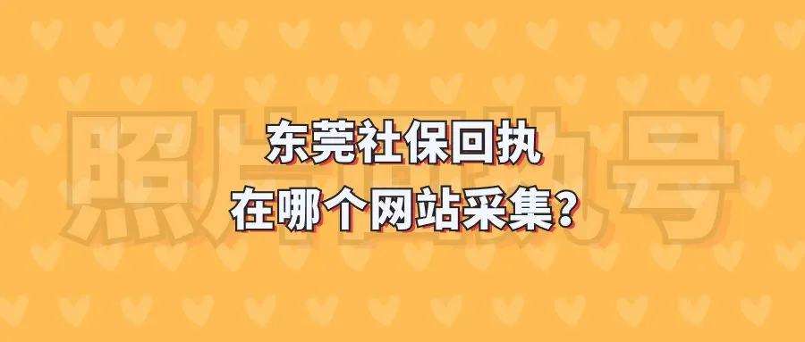 东莞社保回执在哪个网站采集