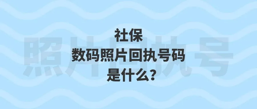 社保数码照片回执号码是什么？