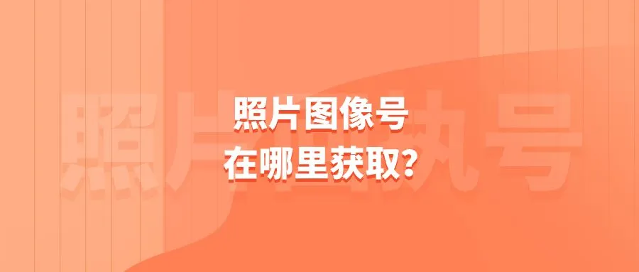 照片图像号在哪里获取？