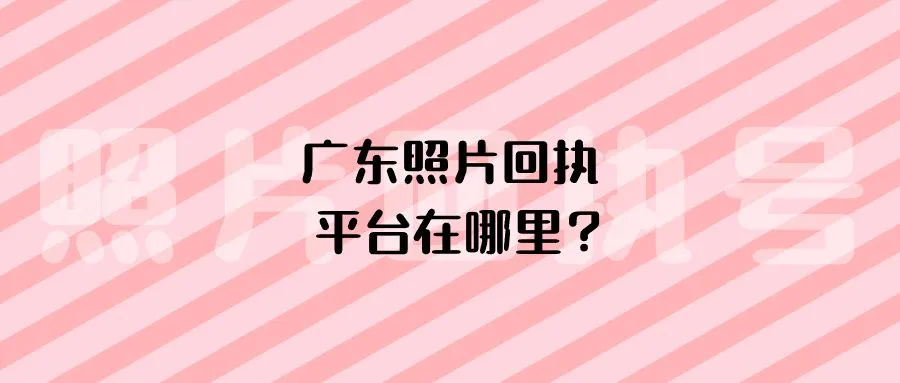 广东照片回执平台在哪里？