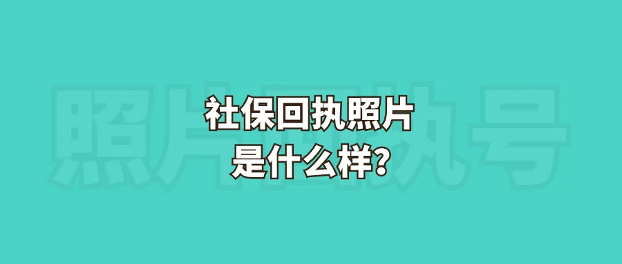 社保回执照片是什么样？