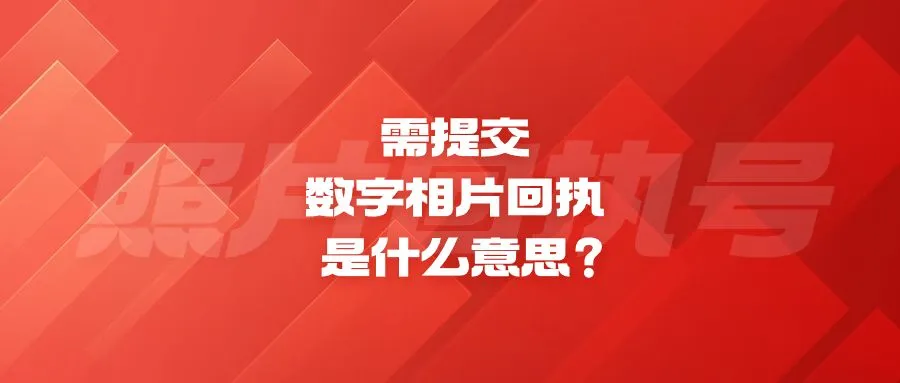 需提交数字相片回执是什么意思？