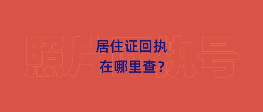 居住证回执在哪里查？