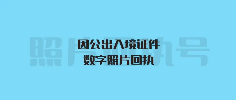 因公出入境证件数字照片回执