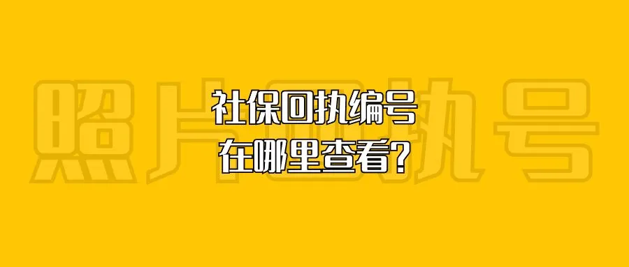 社保回执编号在哪里查看？