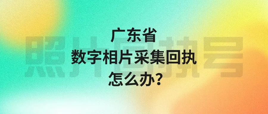 广东省数字相片采集回执怎么办？