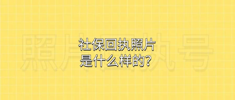 社保回执照片是什么样的？