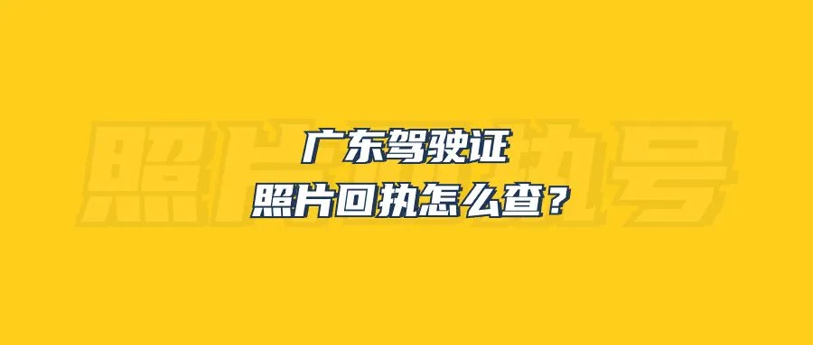 广东驾驶证照片回执怎么查？