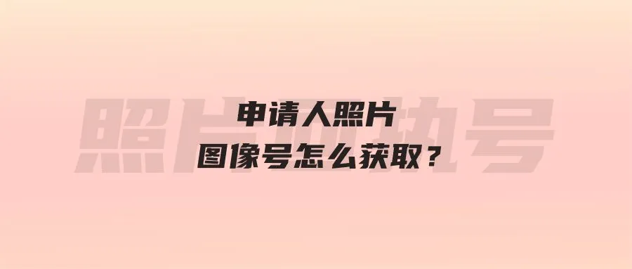 申请人照片图像号怎么获取？