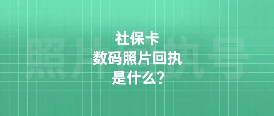 社保卡数码照片回执是什么？