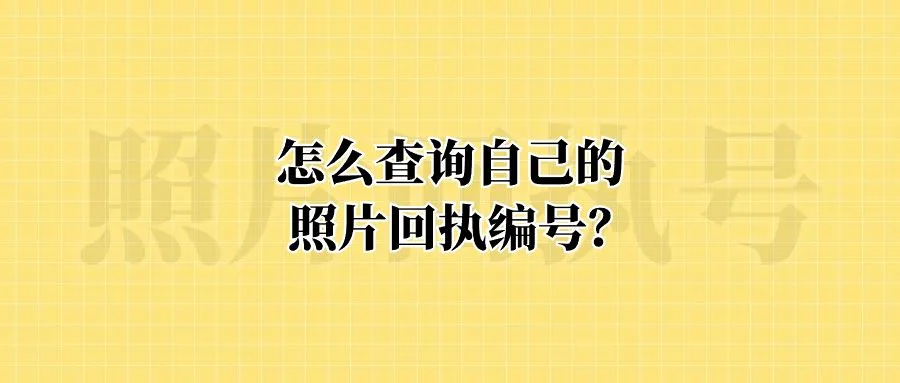 怎么查询自己的照片回执编号？