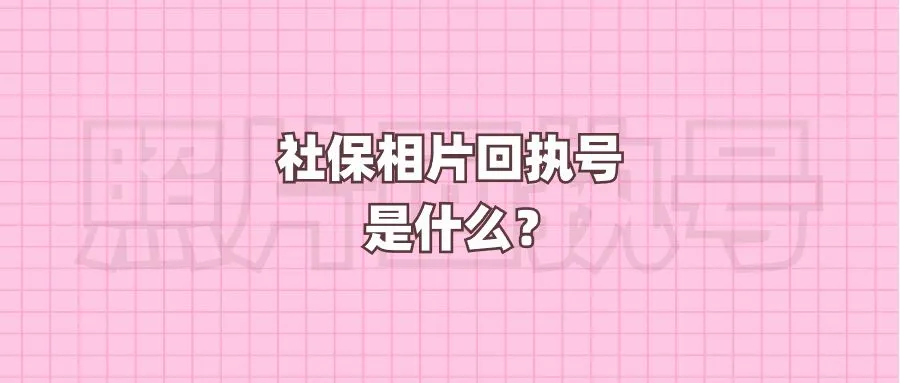 社保相片回执号是什么？