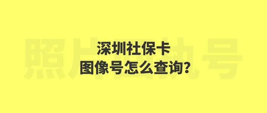 深圳社保卡图像号怎么查询？