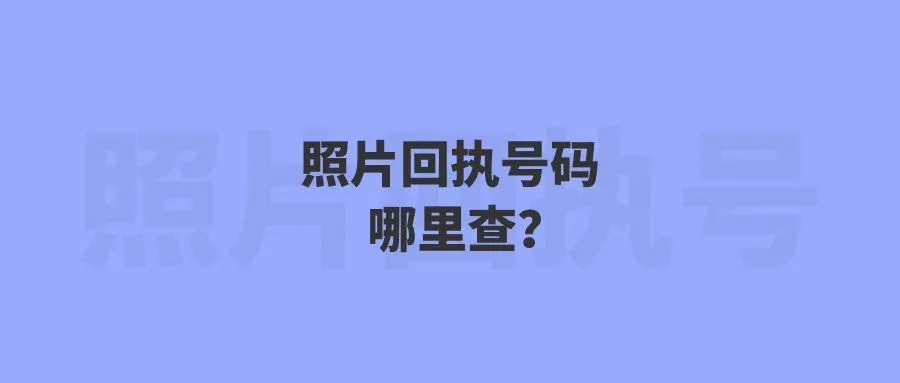 照片回执号码哪里查？